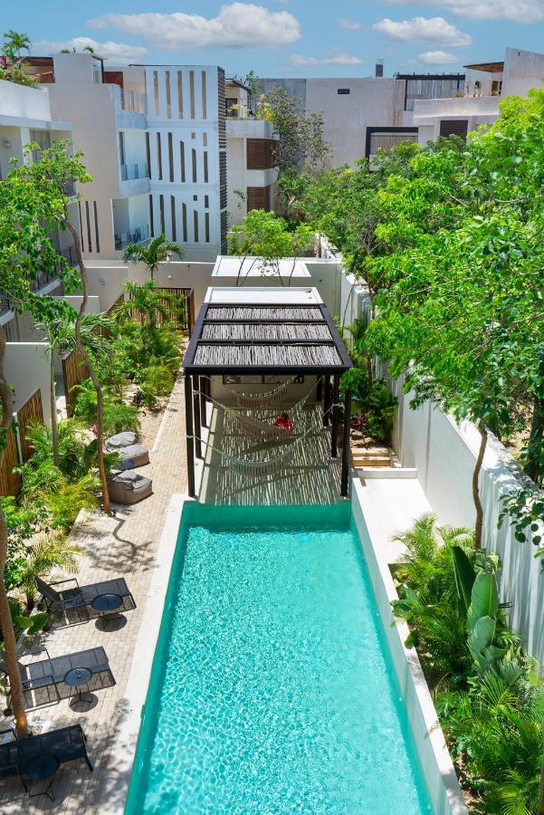 Private Pool And Roof Top For 3 In La Veleta Tulum Exteriér fotografie